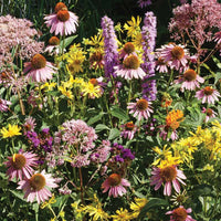 Wildflowers Native Monarch Mix Seed