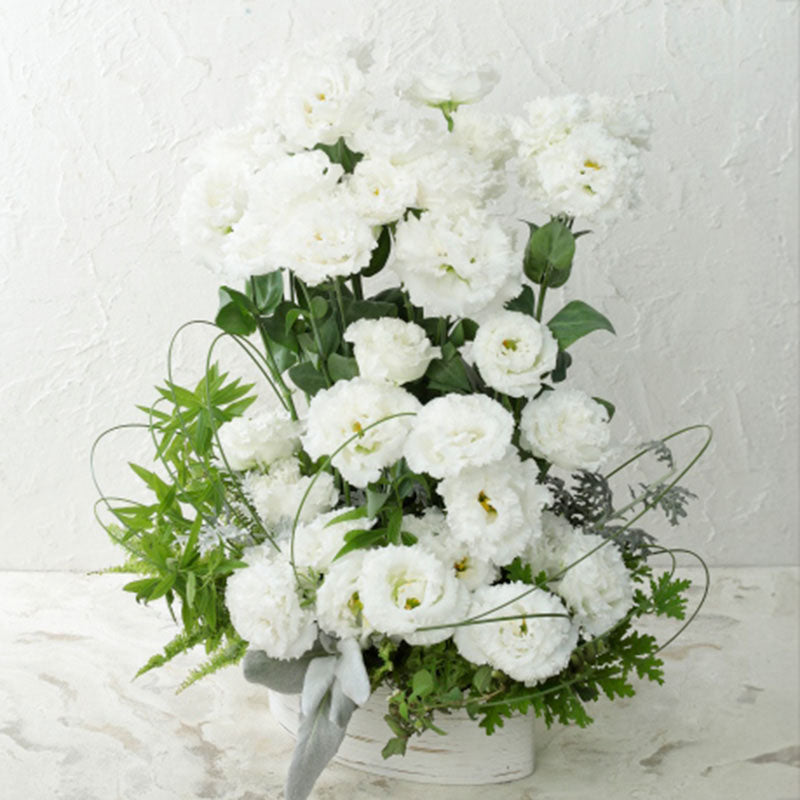 Lisianthus Voyage 2 Pure White F1 Seed