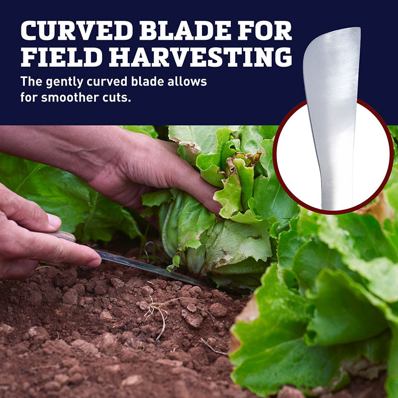 Broccoli Knife Stainless Steel Blade Yellow Handle