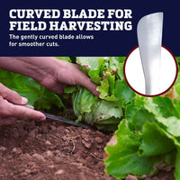 Broccoli Knife Stainless Steel Blade Yellow Handle