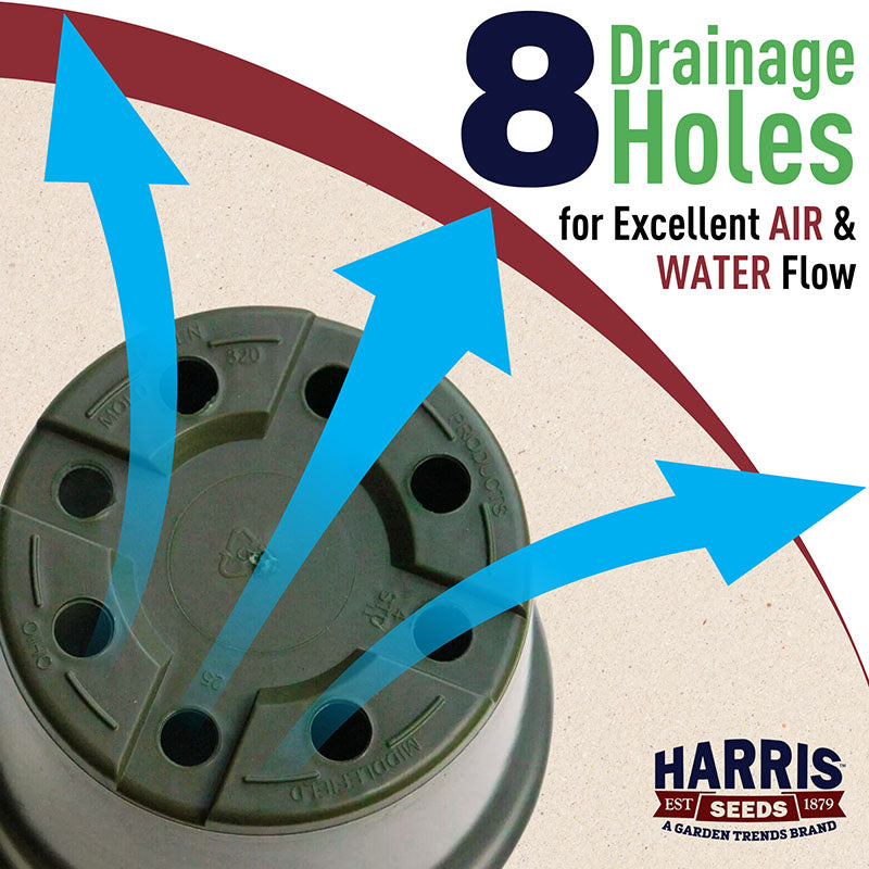 Dillen 4" Round Pot Harris Seeds