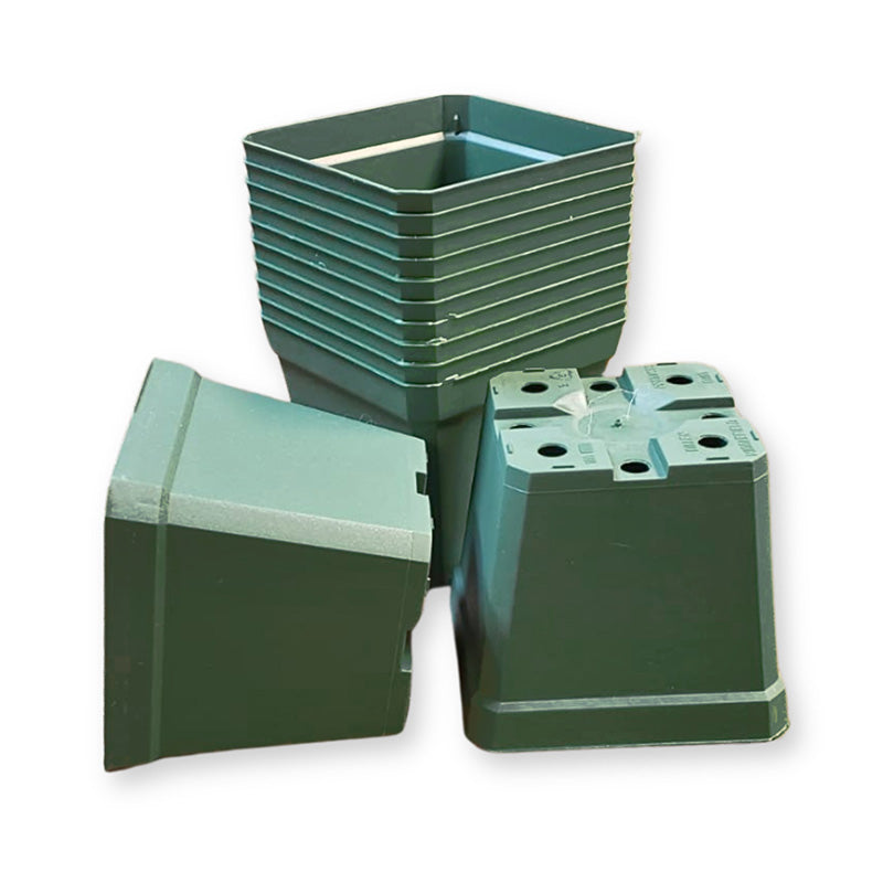 dillen plant pots Dillen 4" Square Pot HARD GOOD / 200 each / NA