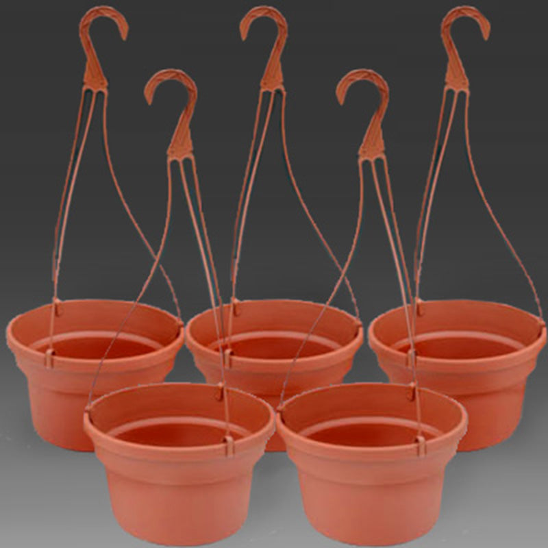 Pot Dillen 10 in Basket with hangers (5) – Harris Seeds