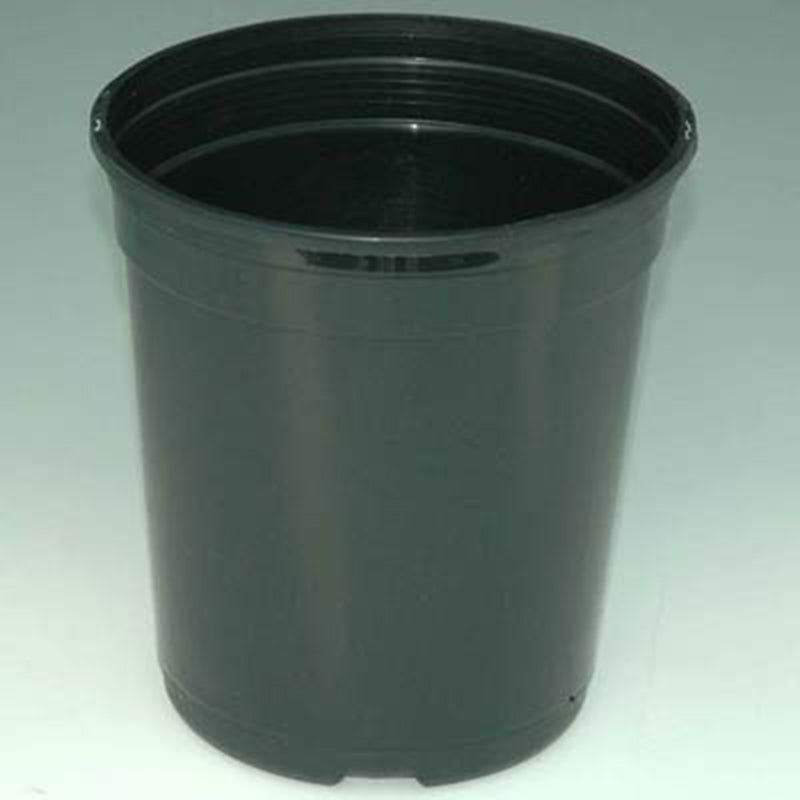 1 qt plant pot Perennial Pot 1 Qt. HARD GOOD / 12 each / NA