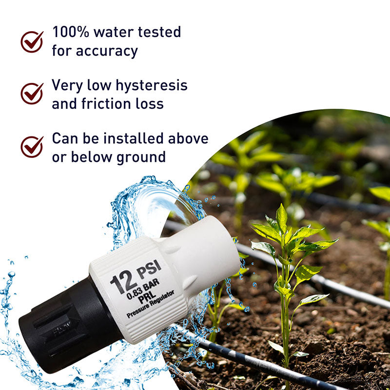 Senninger Watering Pressure Regulator 12 PSI