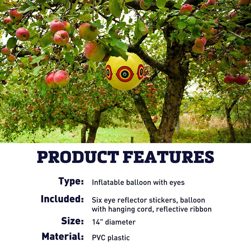 Dalen Bird Scare Balloon