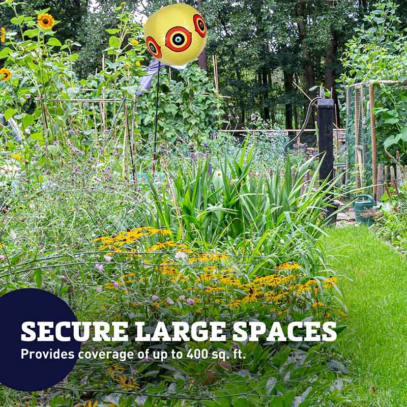 Dalen Bird Scare Balloon