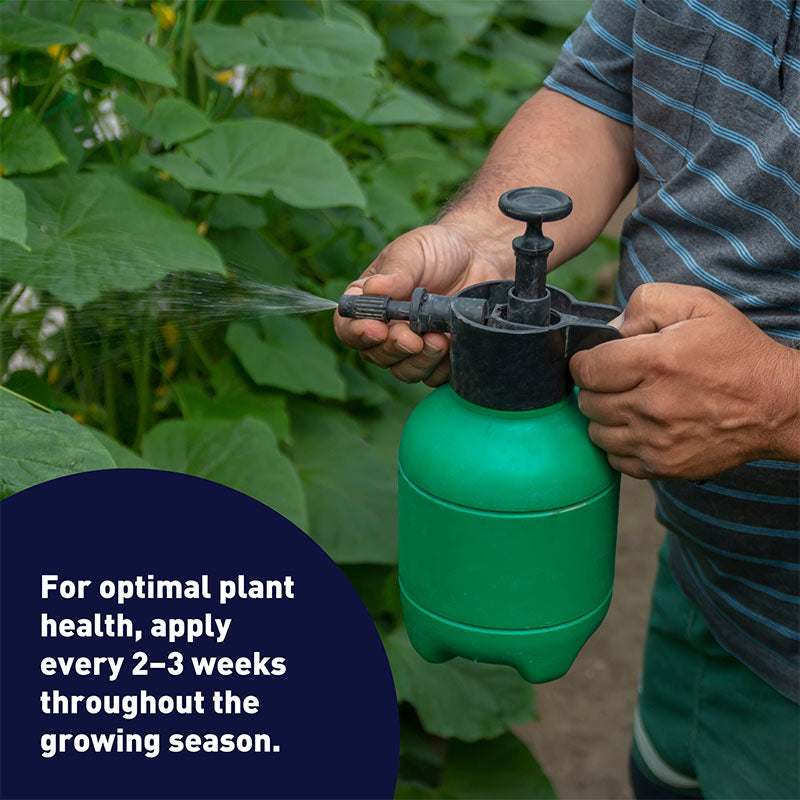 Sea Magic Fertilizer 1 oz.