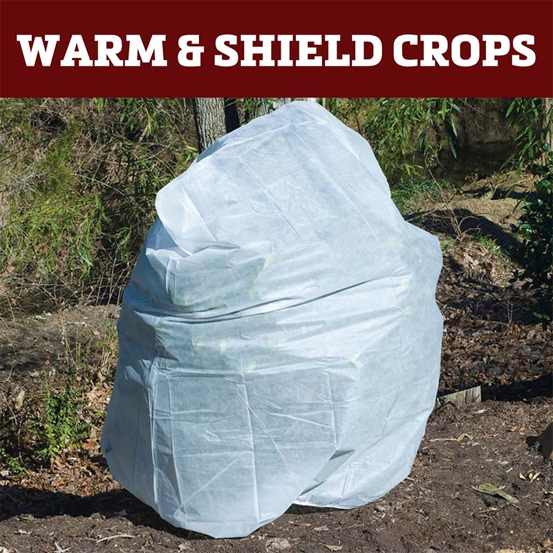 can you protect plants from frost with a plastic bag Plant Protection Bag