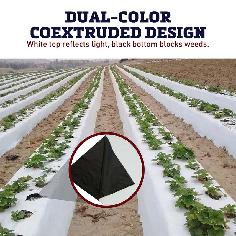 White on Black Plastic Mulch 4' x 600'