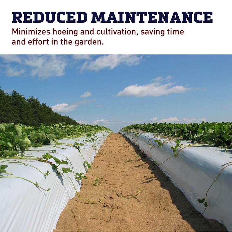 White on Black Plastic Mulch 4' x 600'