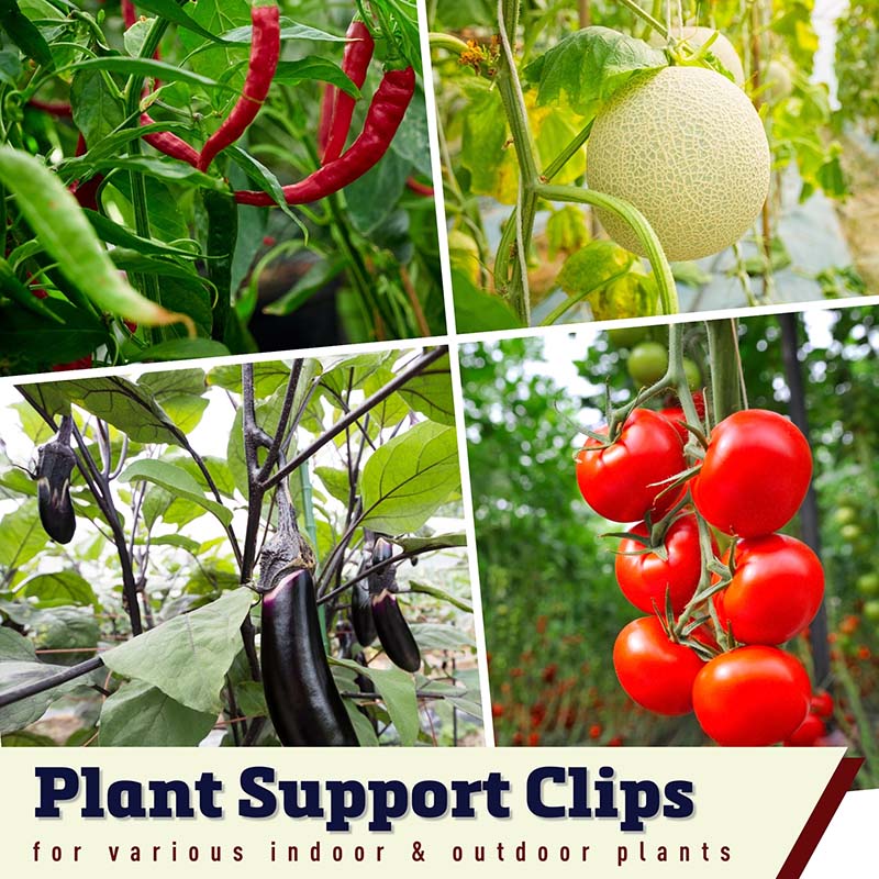 grafting indoor plants Grafting Clips 1.5 mm (100 ct)