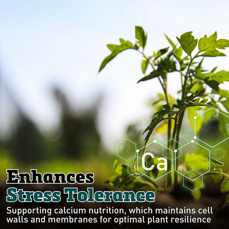 plant calcium fertilizer Nutri-cal 1 Gal. Concentrate 1 Each
