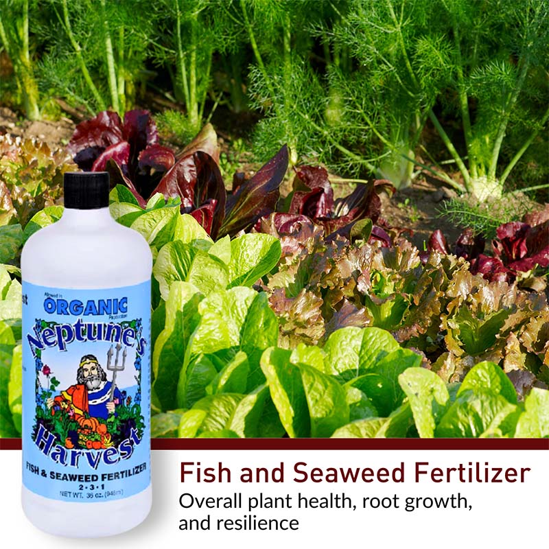 neptune plant fertilizer Neptune's Harvest Organic Fish and Seaweed Fertilizer