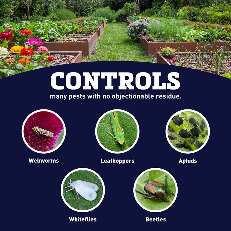 bonide pyrethrin garden spray Bonide Pyrethrin Garden Insect Spray
