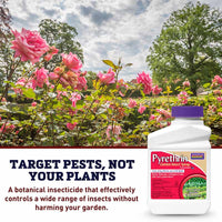 Bonide Pyrethrin Insect Spray 1 Pint