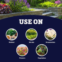 Bonide Pyrethrin Insect Spray 1 Pint