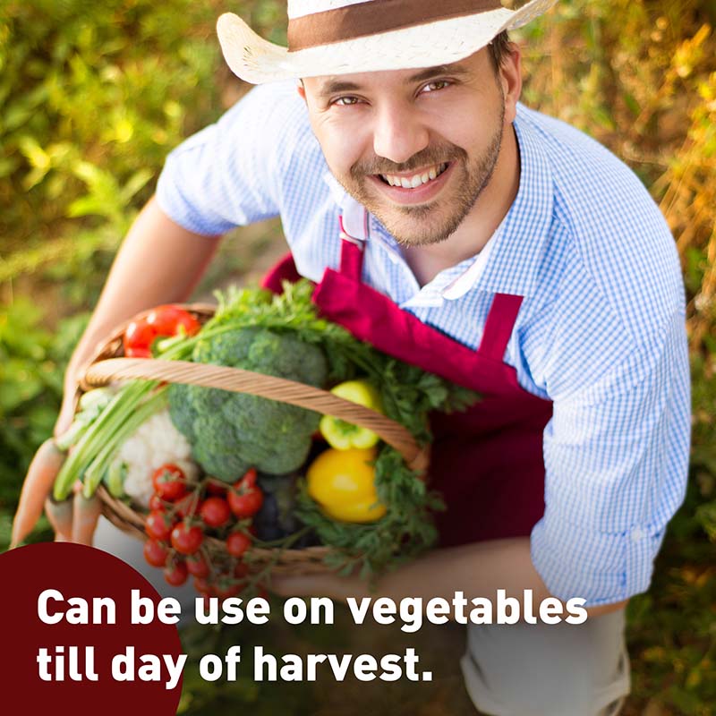 Bonide Pyrethrin Insect Spray 1 Pint