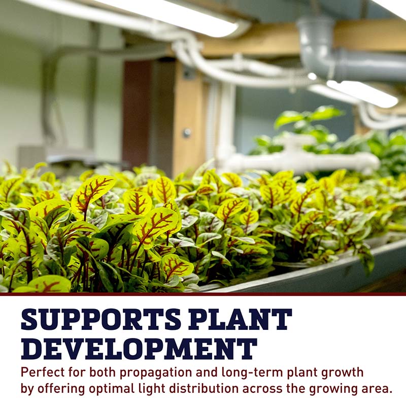 SunBlaster T5 Replacement Bulb 4'