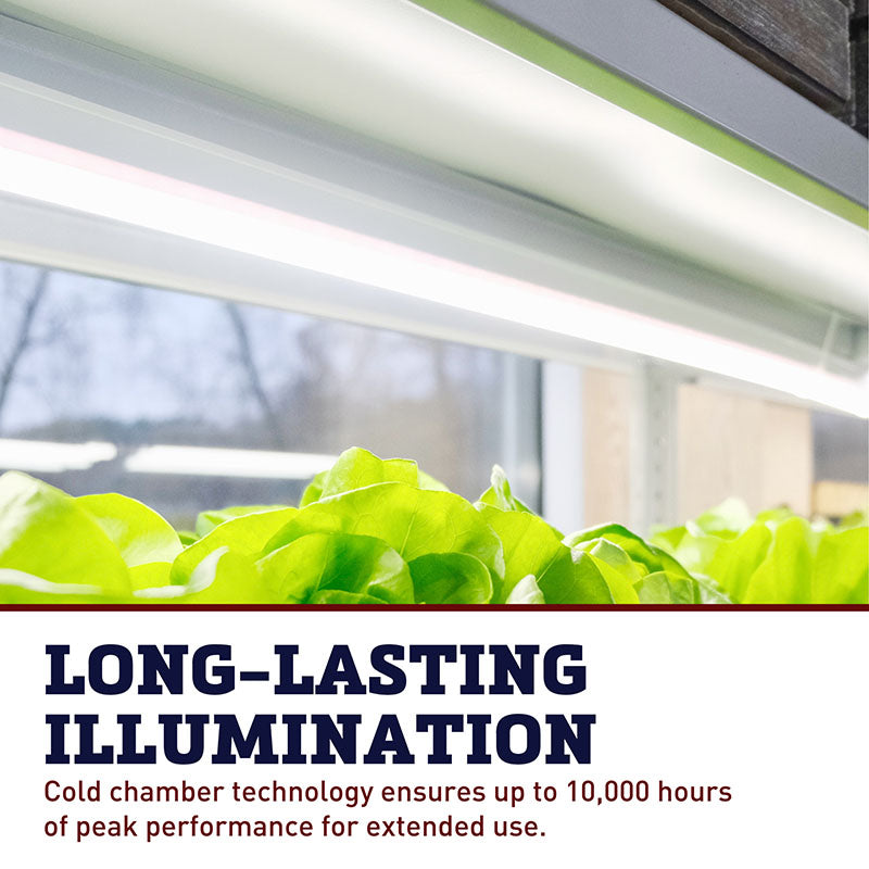 SunBlaster T5 Replacement Bulb 4'