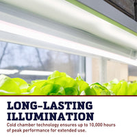 SunBlaster T5 Replacement Bulb 4'