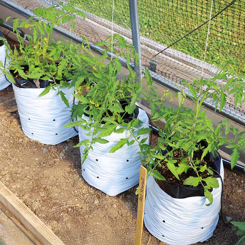 plant grow bags for sale Grow Bags 7 Gallon HARD GOOD / 25 each / NA