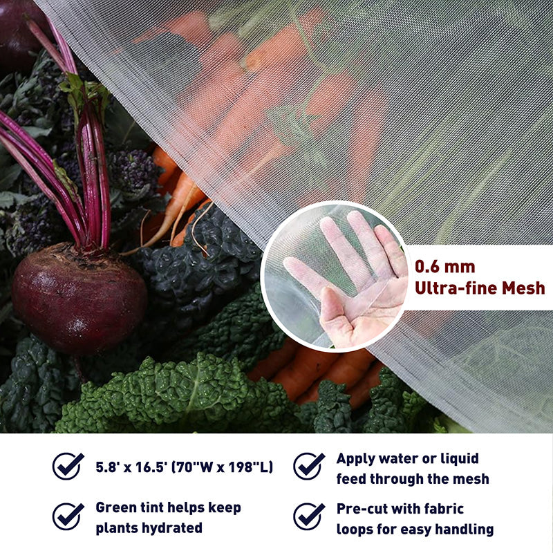 Haxnicks Micromesh Blanket