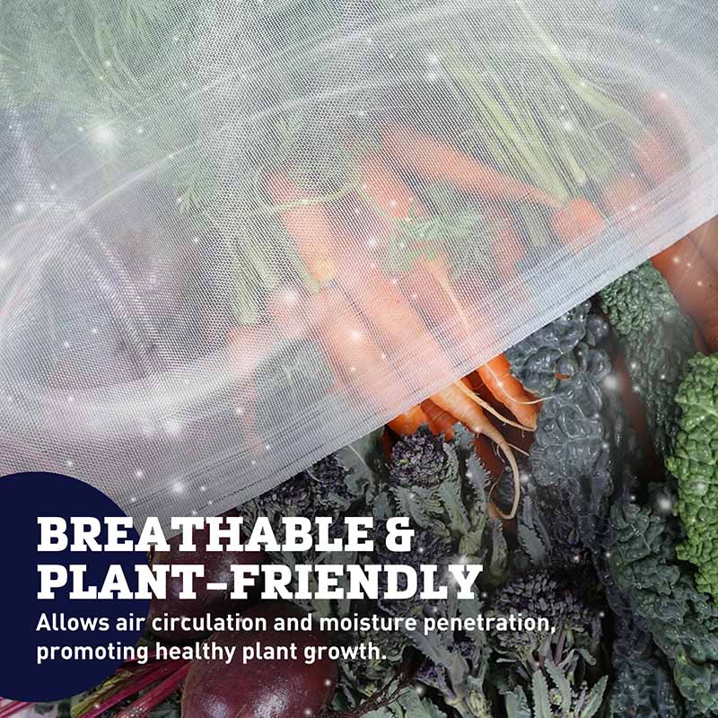 Haxnicks Micromesh Blanket