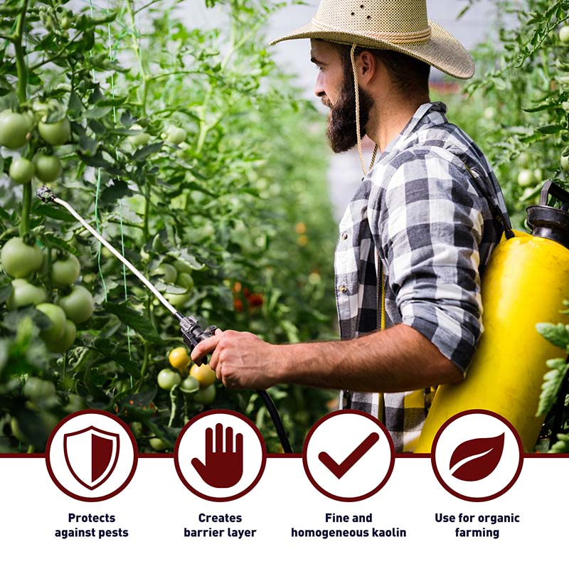 Surround WP Organic Crop Protectant 25 lb. – Harris Seeds