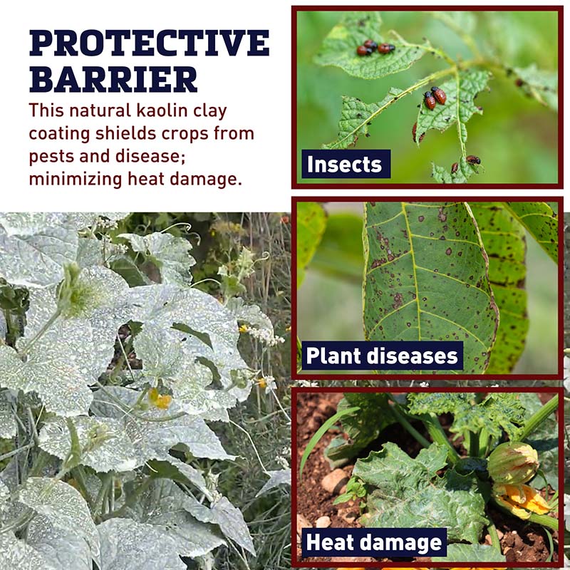 kaolin clay garden spray Surround WP Organic Crop Protectant 25 lb