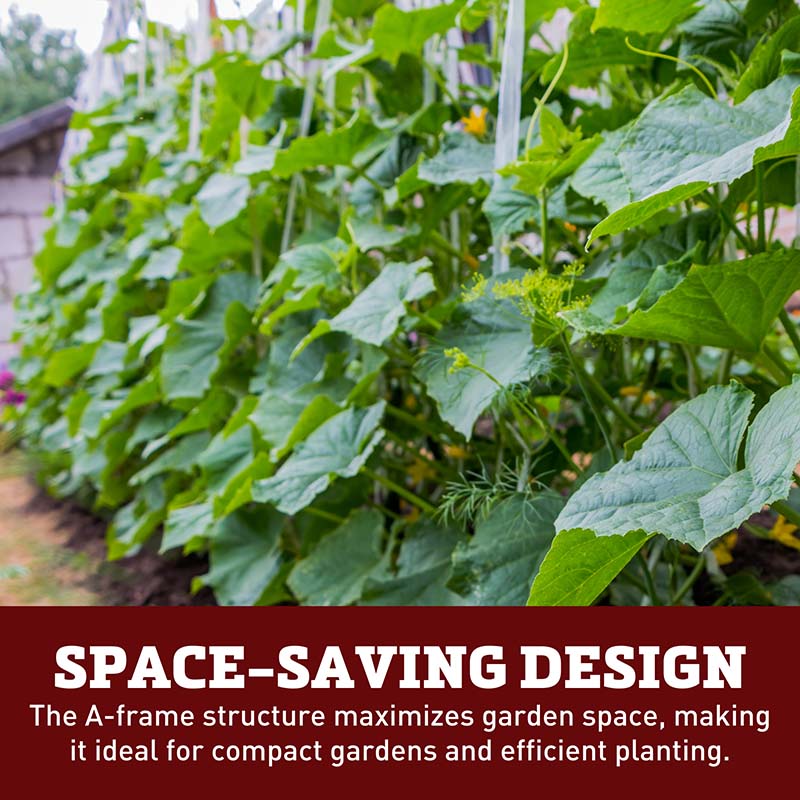 do cucumber plants need trellis Cucumber Support Trellis – Harris Seeds