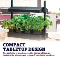 SunBlaster Micro Grow Light Garden - Black