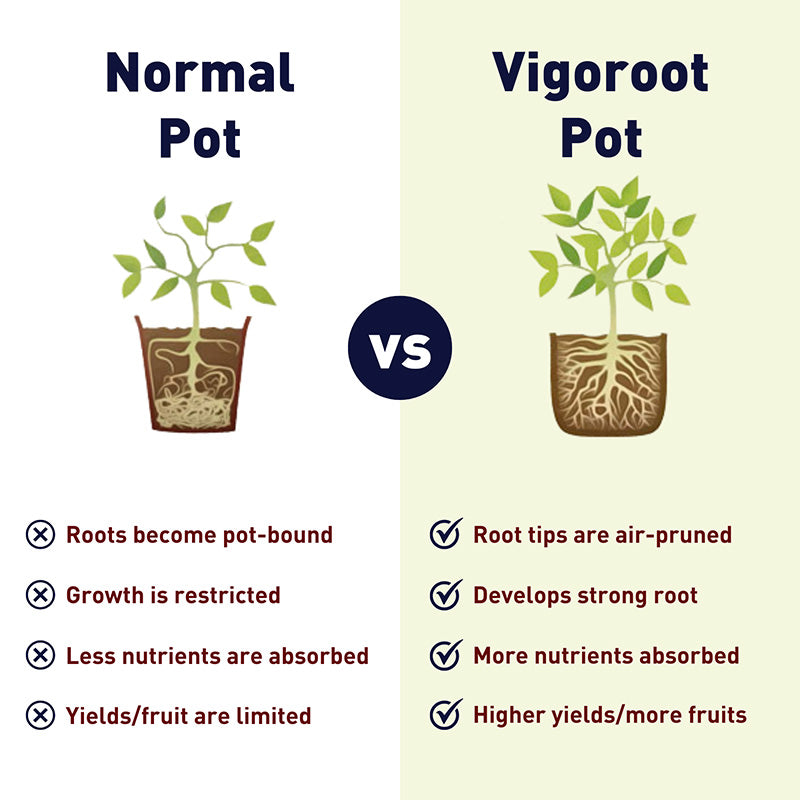 Haxnicks Vigoroot Pots 20L 3 pack