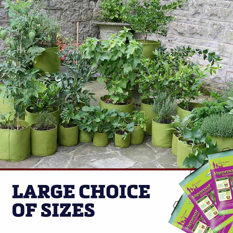 Haxnicks Vigoroot Pots 20L 3 pack