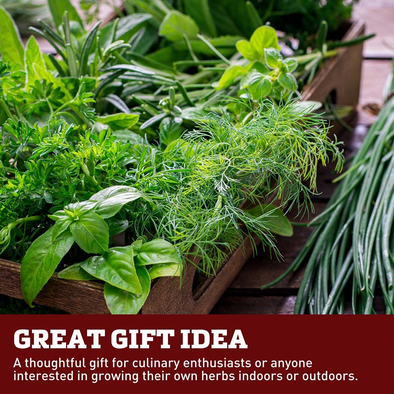 harris seeds garden trends Grow Gardens Grow Herbs Kit