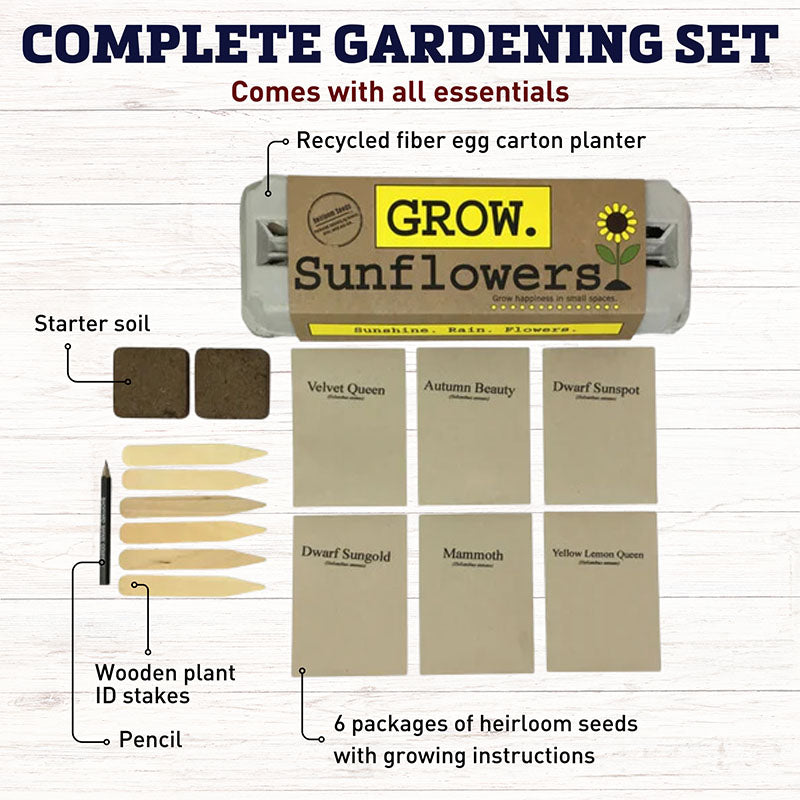 Grow Gardens Grow Sunflowers Kit