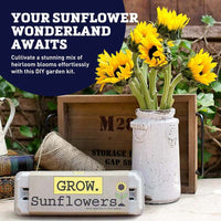 Grow Gardens Grow Sunflowers Kit