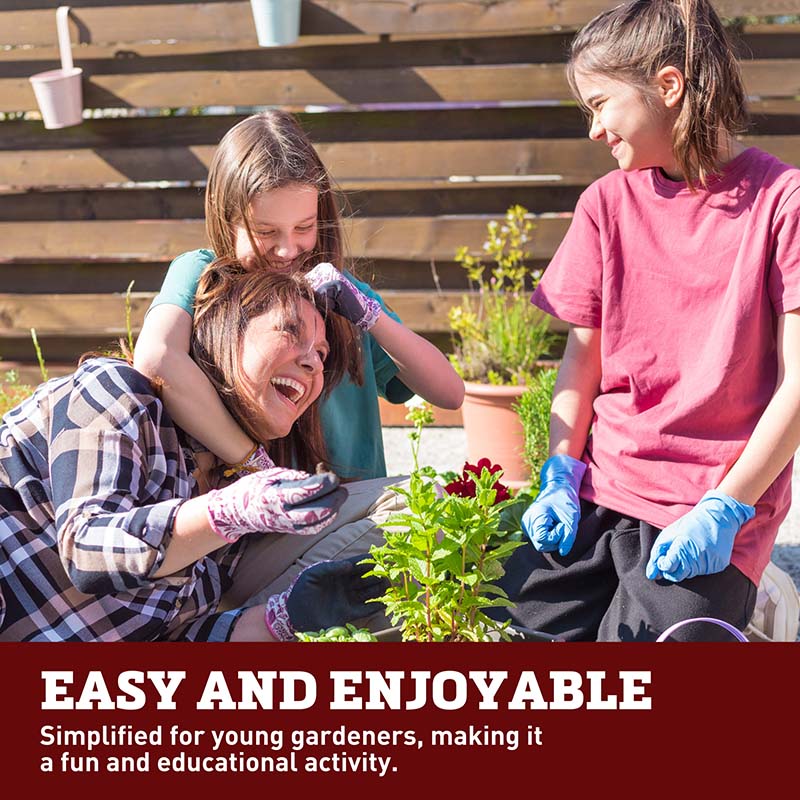 Grow Gardens Grow Sunflowers Kit