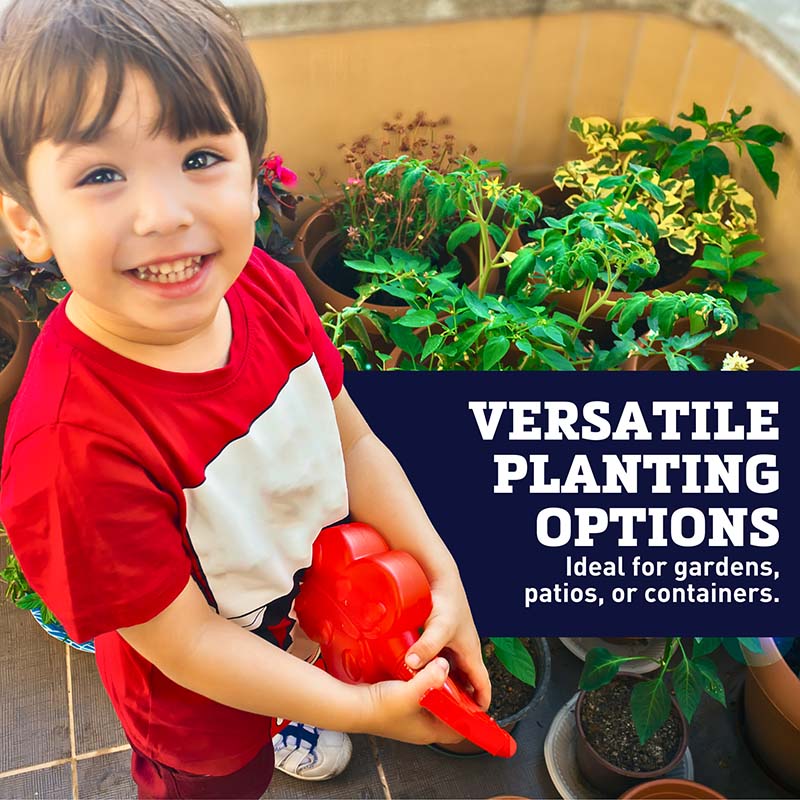 Grow Gardens Grow Sunflowers Kit