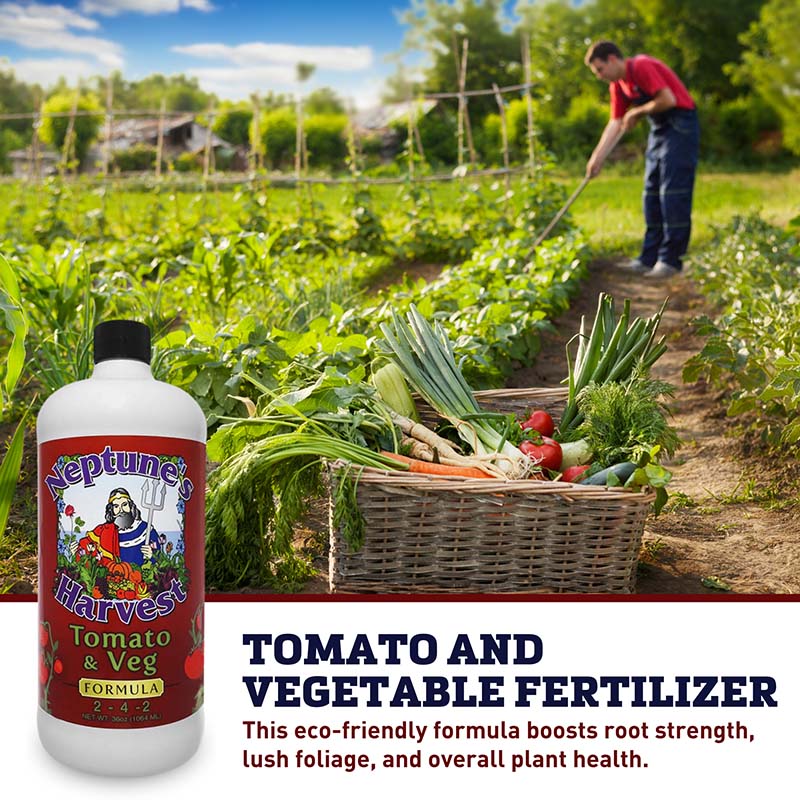 tomato plant fertilizer Neptune's Harvest Tomato & Vegetable 2-4-2 32 oz. (1 qt.) Organic Fertilizer