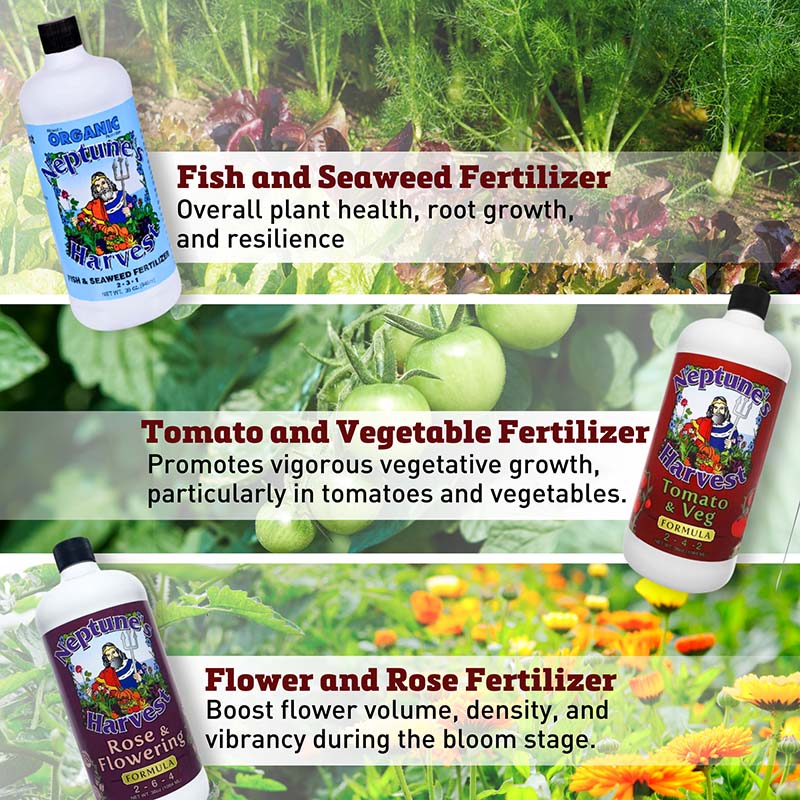 veg plant fertilizer Neptune's Harvest Organic Fertilizer Collection