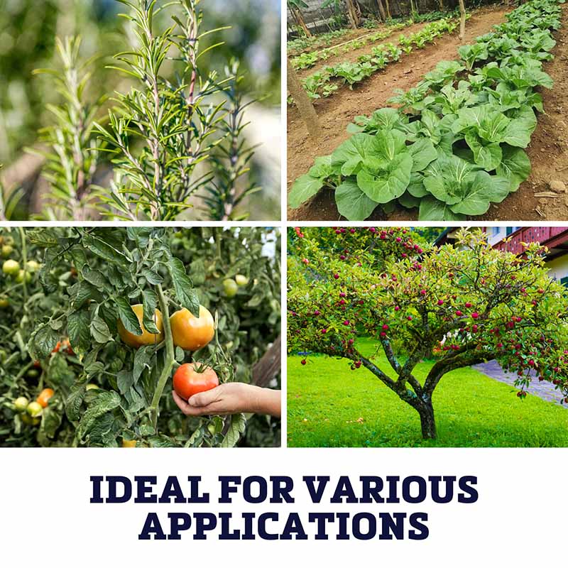 MegaPhos Phosphorus Solubilizing Microbe Organic Fertilizer