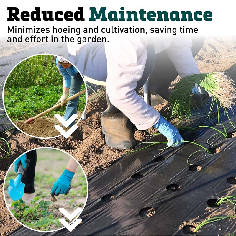 planting through black plastic Black Plastic Mulch 3' x 600' – Harris Seeds