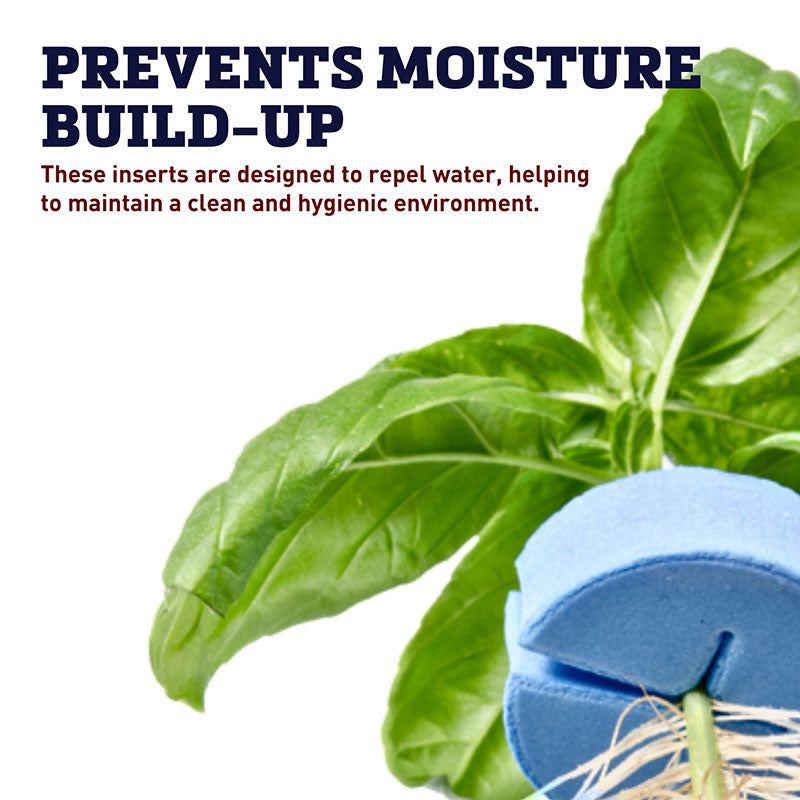 oxyCLONE oxyCERTS Blue 1-7/8"