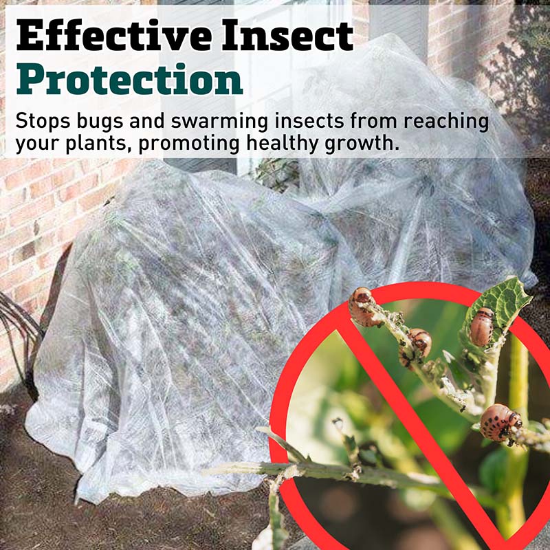 Pooran Insects Guard Insect Guard 5' x 50' Cover – Harris Seeds