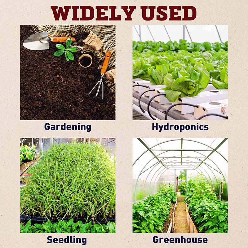 Black Plastic Web Tray 11x21