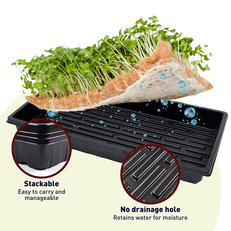 Tray No Drainage 11 X 21