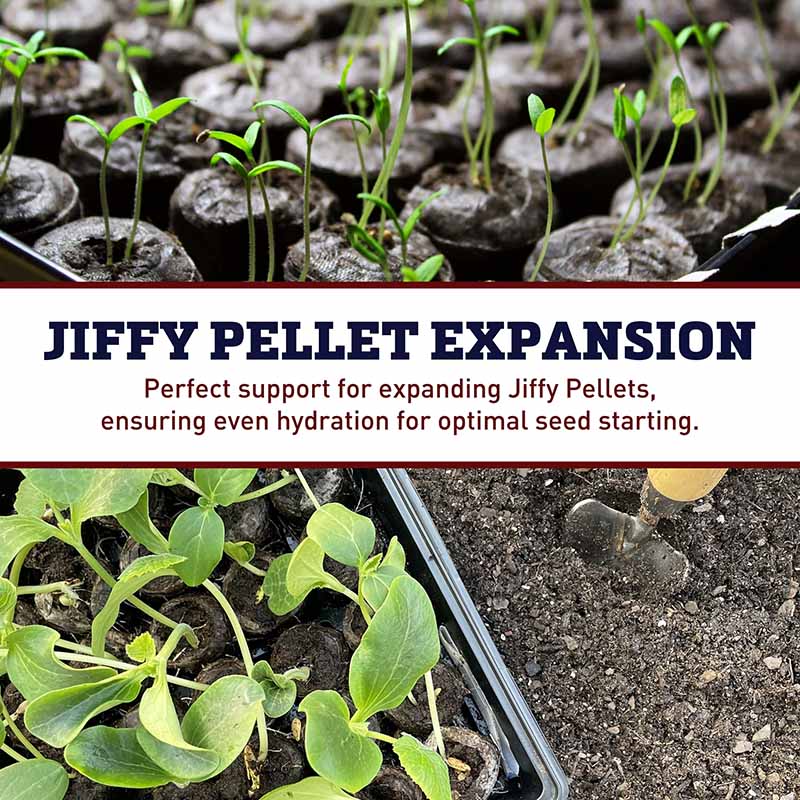 Tray No Drainage 11 X 21