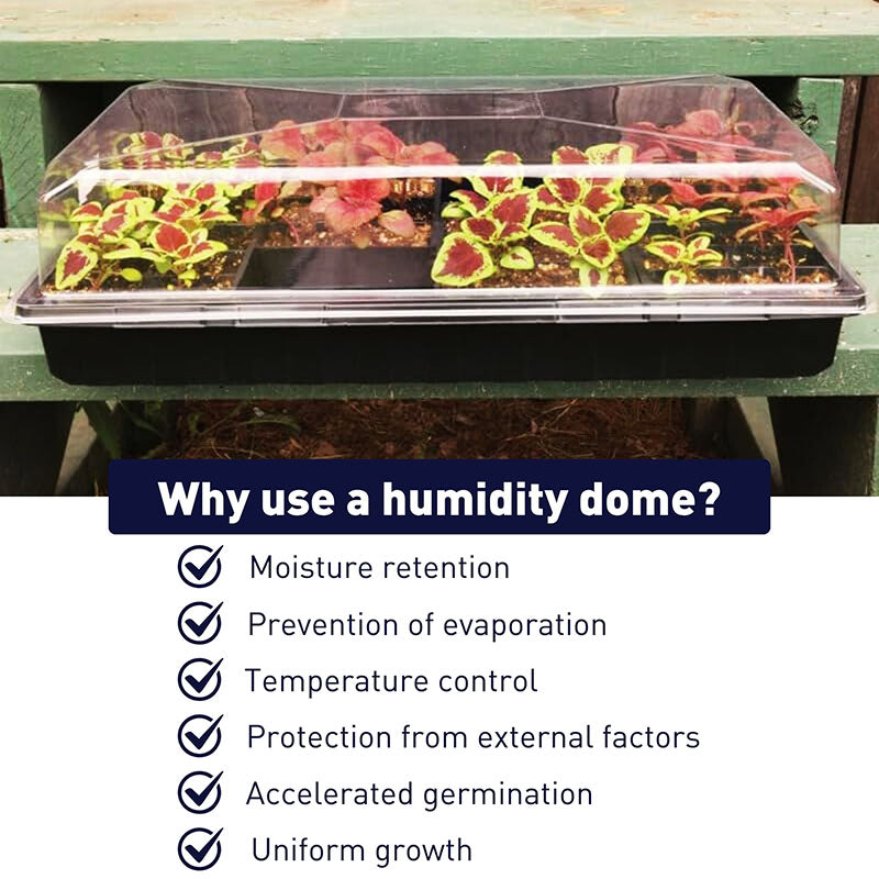 Dome 3.5" Clear Plastic Unvented