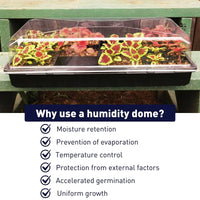 Dome 3.5" Clear Plastic Unvented